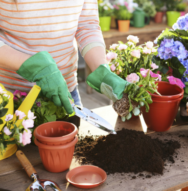 Horticulture & Floristry