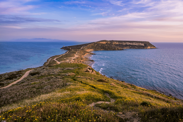 Lizard Peninsula 