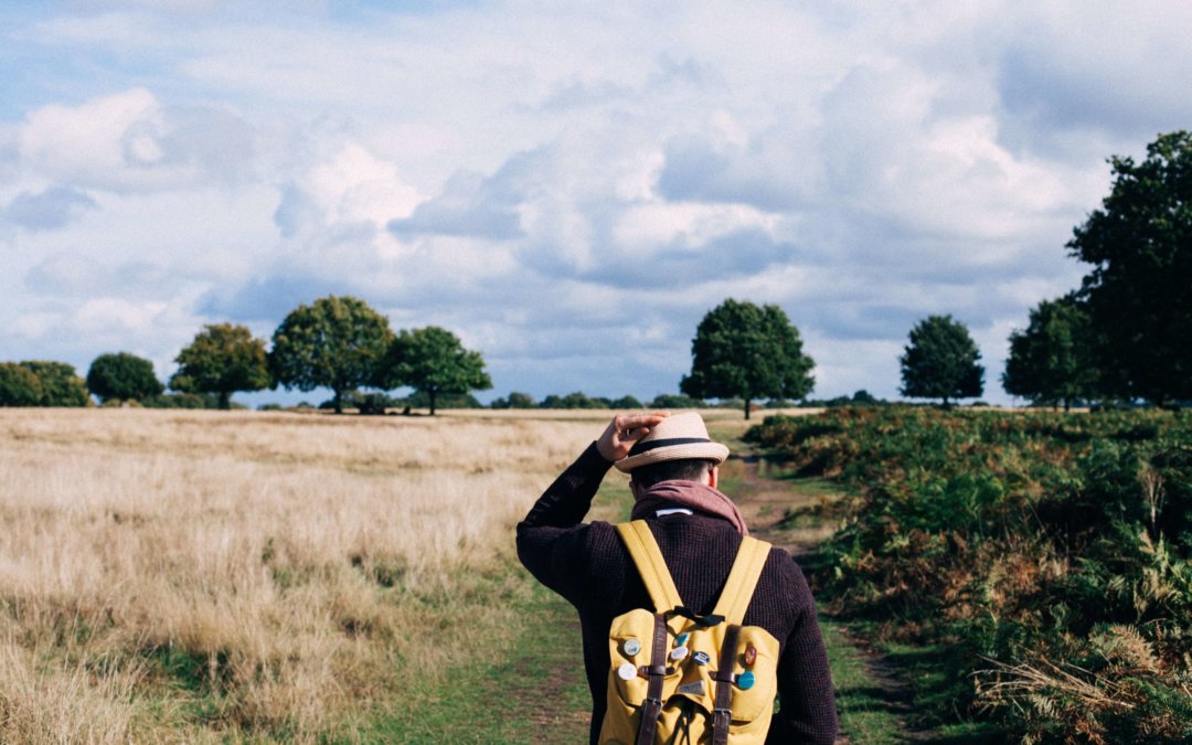 Man walking in field