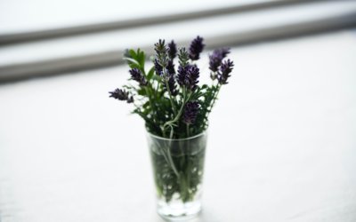 8 of the best homemade bathroom scents to make your bathroom smell amazing