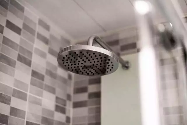 Shower head