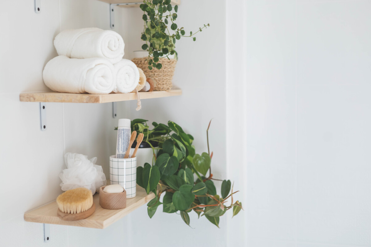 Eco-friendly body care tools and potted plant on wooden shelves, neatly arranged against a white wall. Minimalist, organised bathroom.