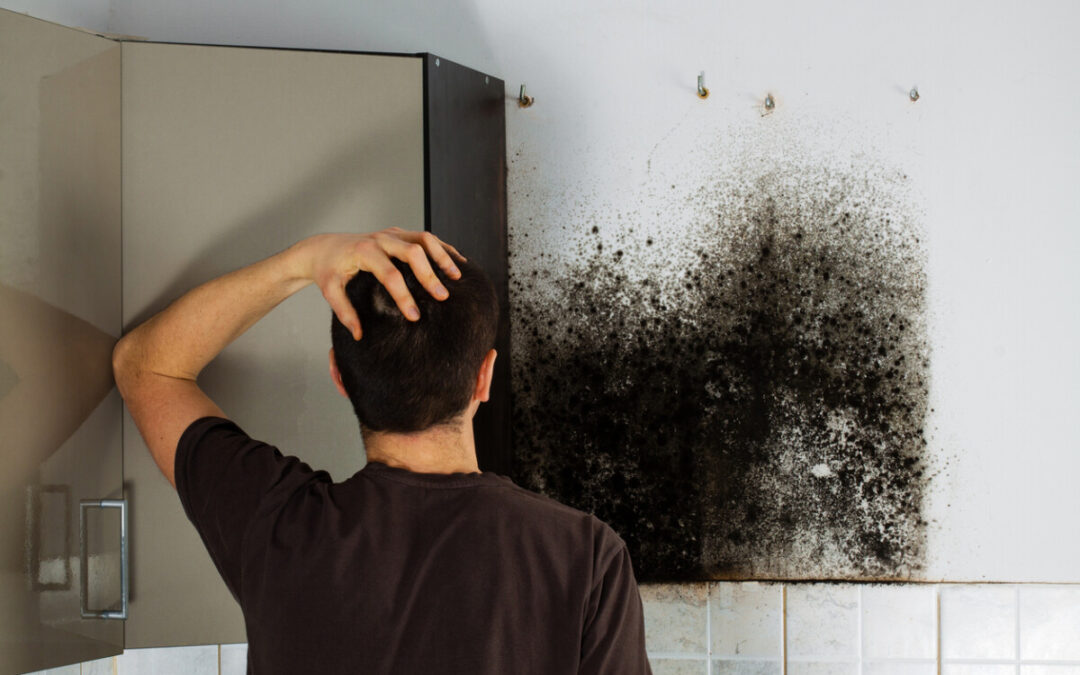 Man looking shocked at mould inside a kitchen cabinet, highlighting issues with moisture and maintenance.