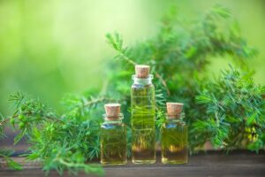 tea tree oil for scent